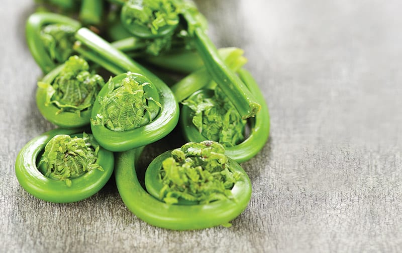 How to Cook Fiddlehead Ferns