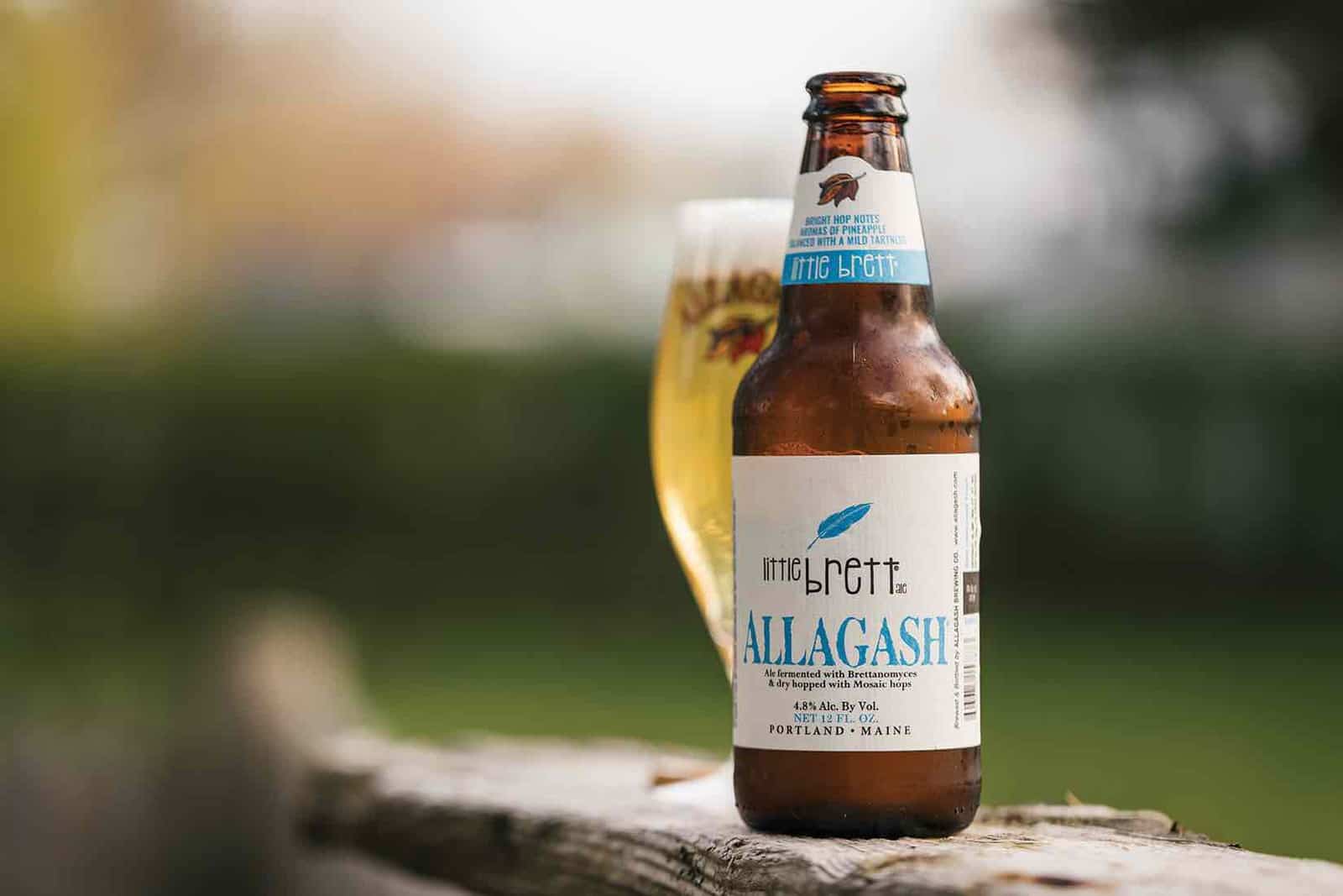 Little Brett Credit Allagash Brewing