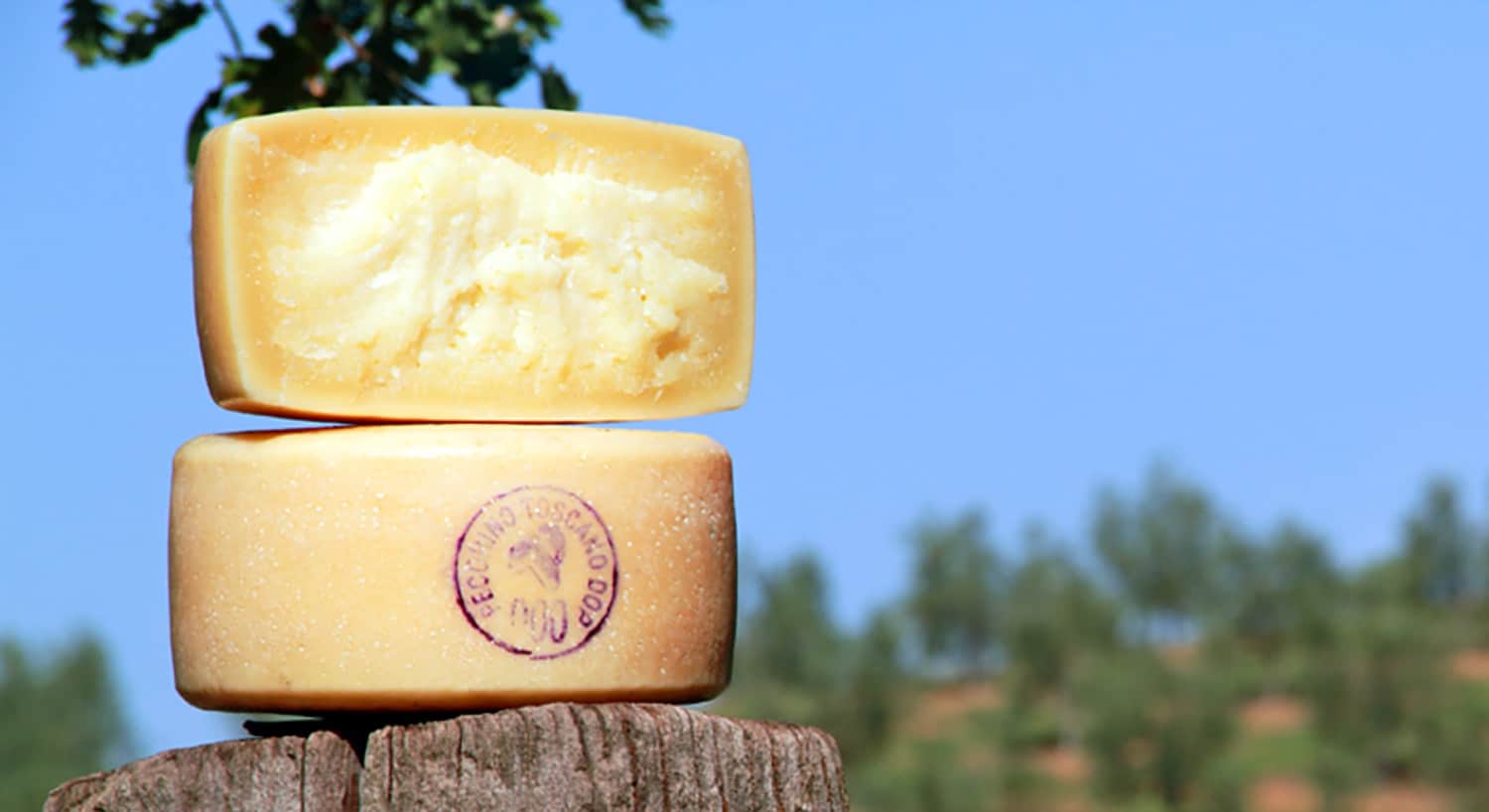 Pecorino Toscano DOP