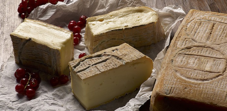 Taleggio