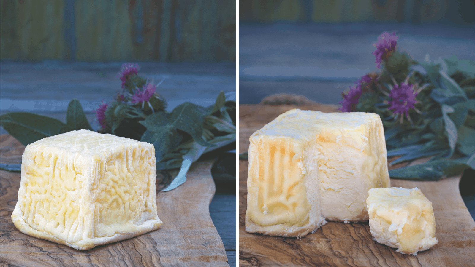 Perrystead-Dairy-Intergalactic-Cheese